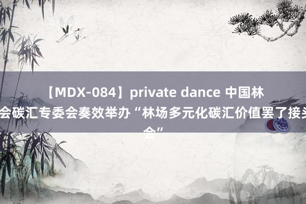 【MDX-084】private dance 中国林场协会碳汇专委会奏效举办“林场多元化碳汇价值罢了接头会”