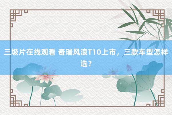 三圾片在线观看 奇瑞风浪T10上市，三款车型怎样选？