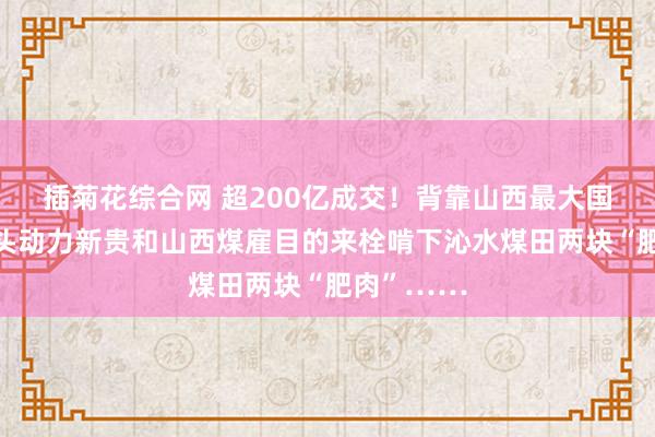 插菊花综合网 超200亿成交！背靠山西最大国有煤炭巨头动力新贵和山西煤雇目的来栓啃下沁水煤田两块“肥肉”……